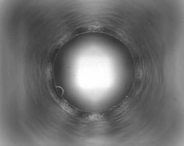 X0000066020468200603171536