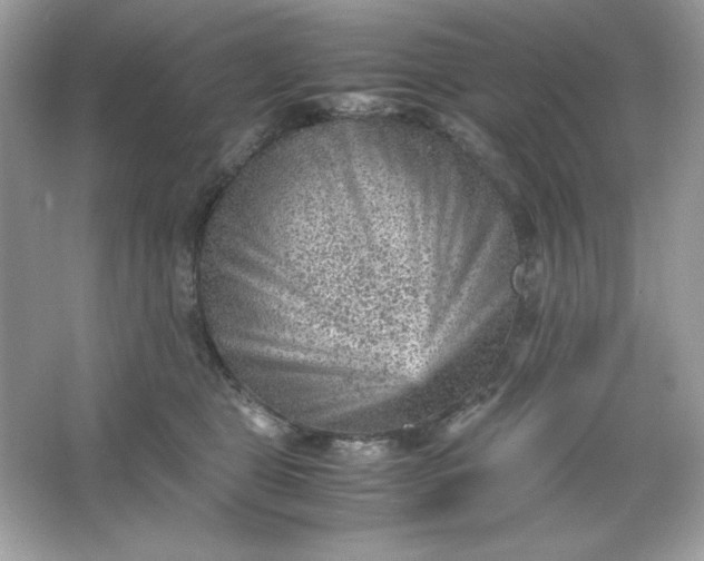 X0000066020469200603171536