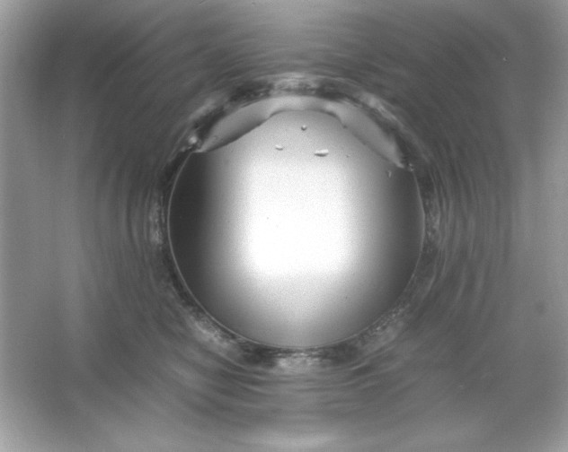 X0000066020470200603171536