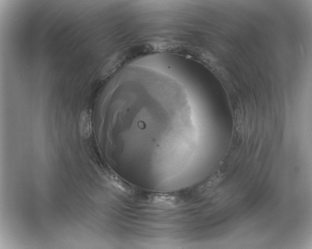 X0000066020471200603171536