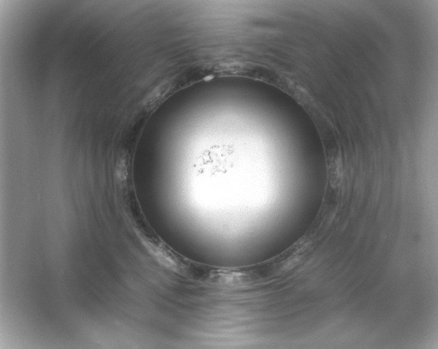 X0000066020472200603171536