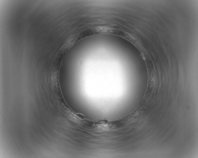 X0000066020473200603171536