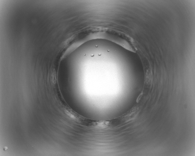 X0000066020474200603171536