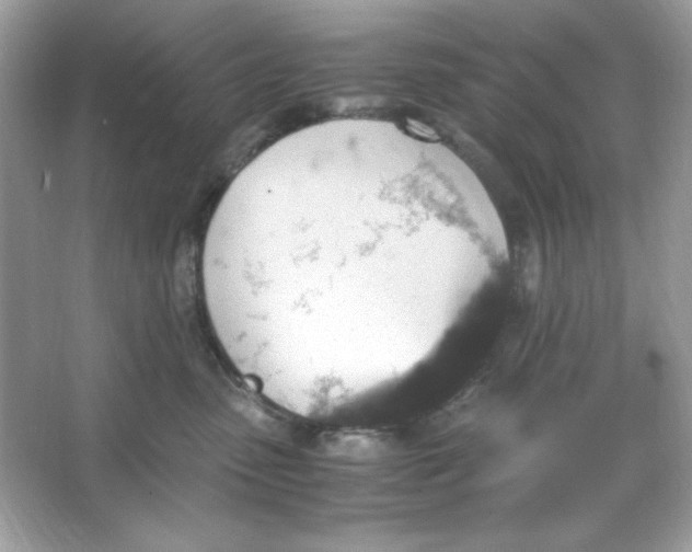 X0000066020475200603171536