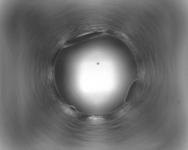 X0000066020477200603171536