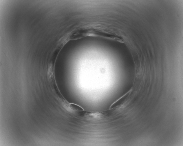 X0000066020478200603171536