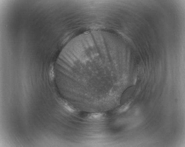 X0000066020479200603171536