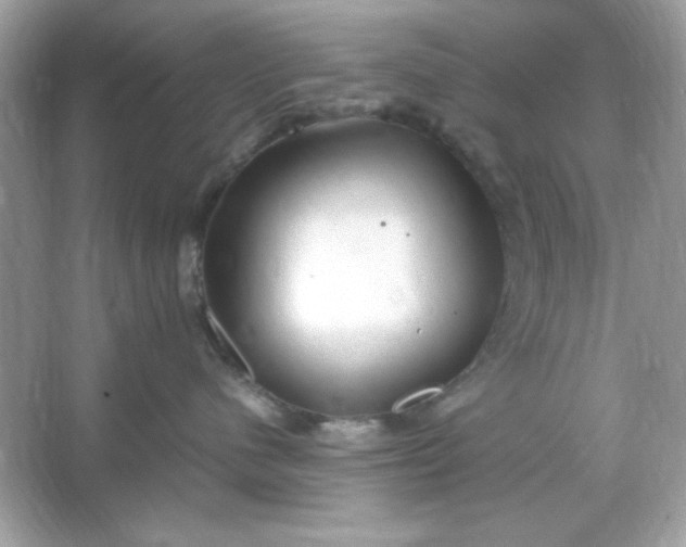 X0000066020480200603171536