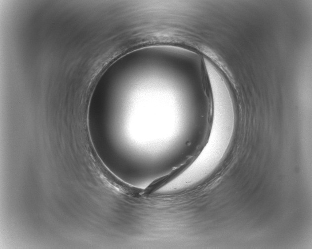 X0000066020481200603171536