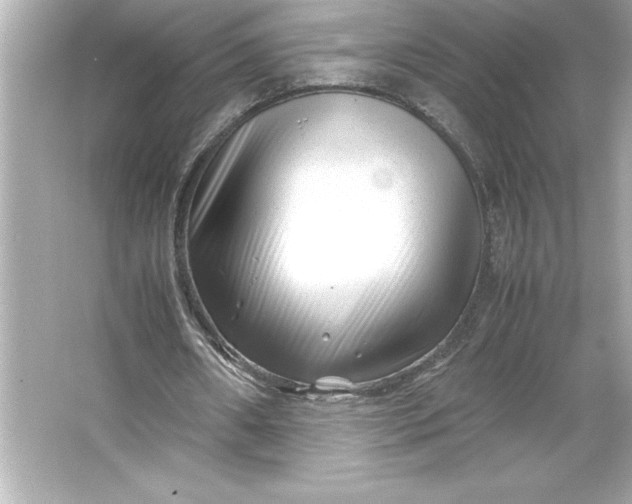 X0000066020482200603171536