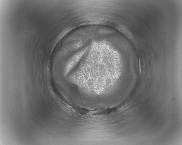 X0000066020483200603171536