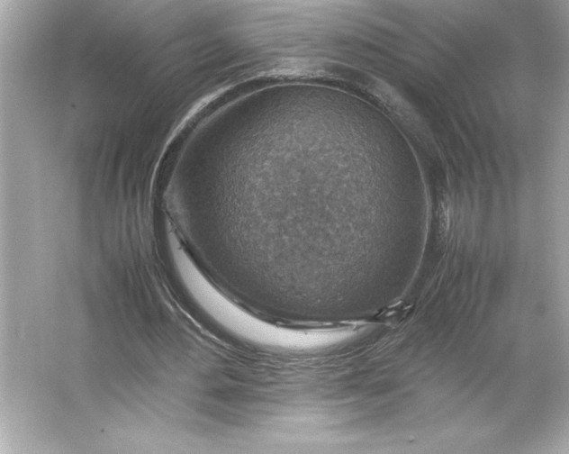 X0000066020484200603171536