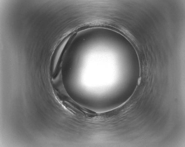 X0000066020485200603171536