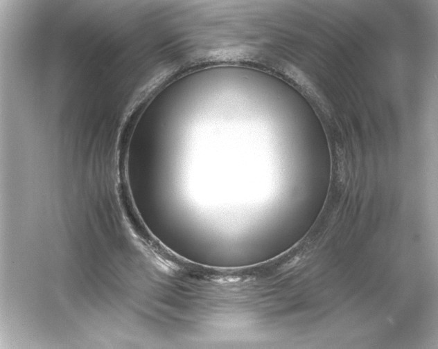 X0000066020486200603171536