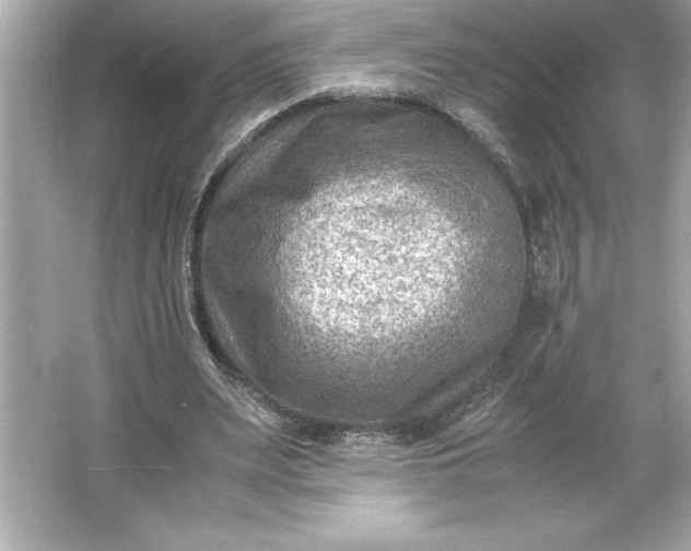 X0000066020487200603171536