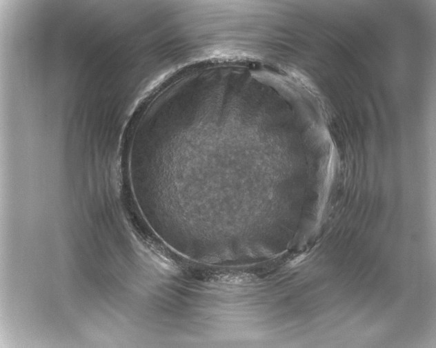 X0000066020488200603171536