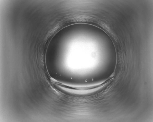 X0000066020489200603171536