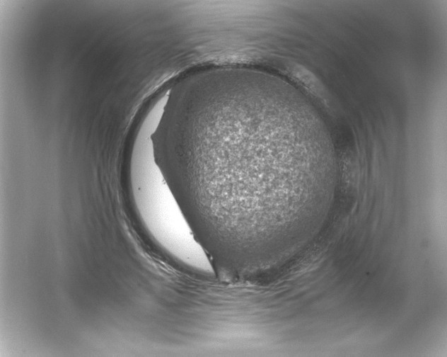 X0000066020491200603171535