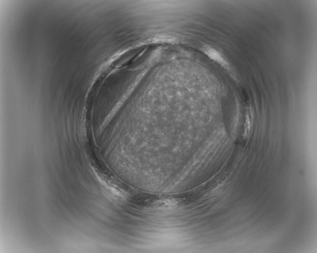 X0000066020492200603171535