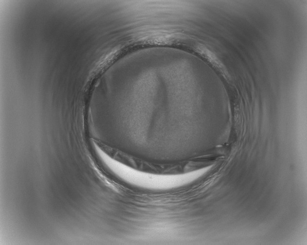 X0000066020493200603171535