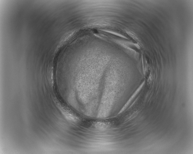 X0000066020494200603171535