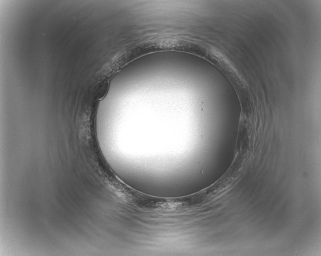 X0000066020497200603171535