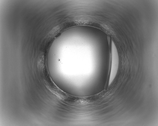 X0000066020498200603171535