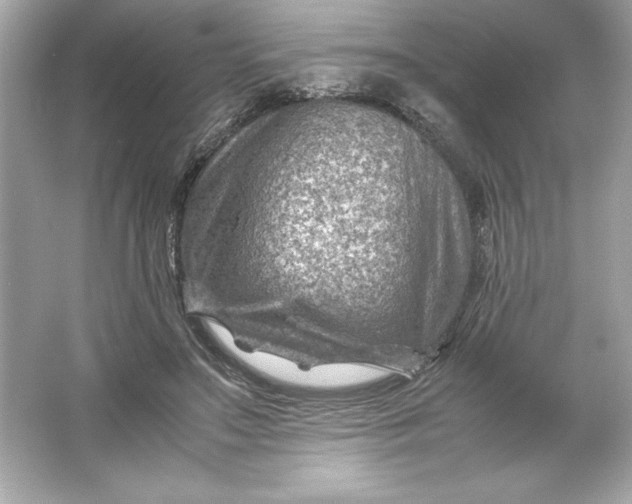 X0000066020499200603171535