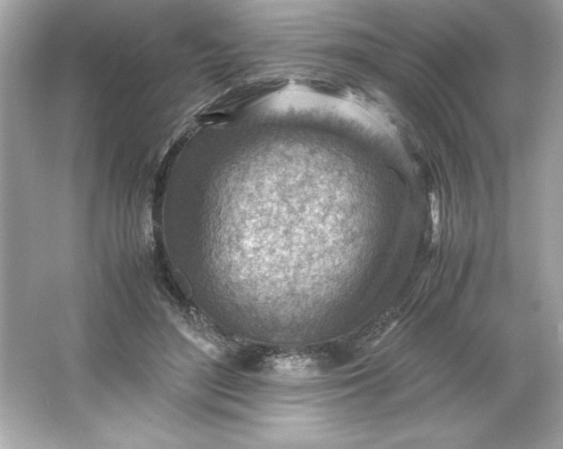 X0000066020500200603171535