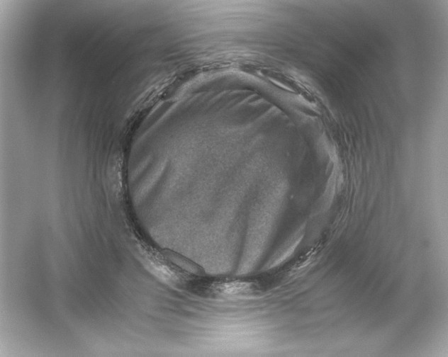 X0000066020501200603171535