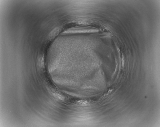 X0000066020502200603171535