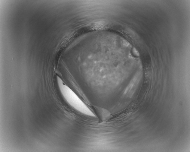 X0000066020503200603171535