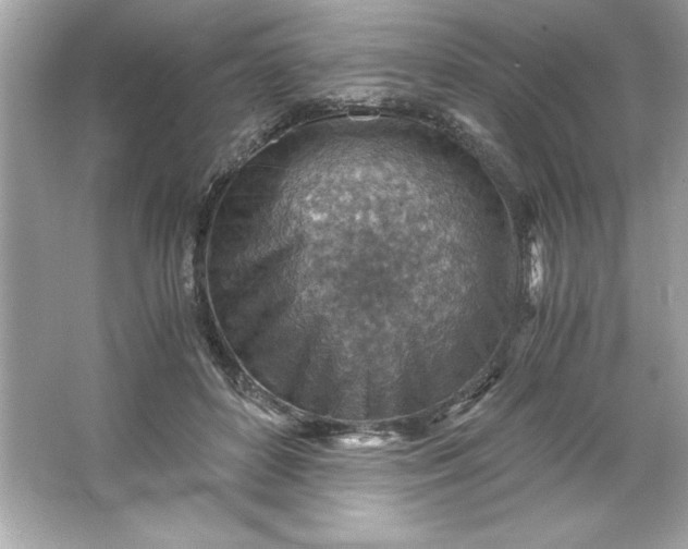 X0000066020504200603171535