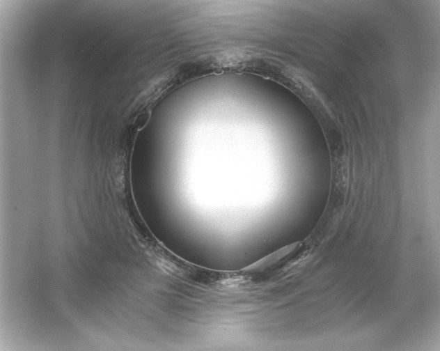 X0000066020505200603171535