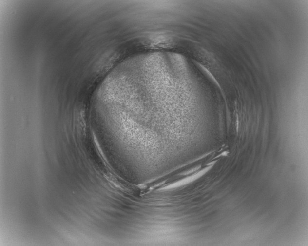 X0000066020506200603171535