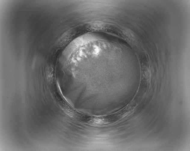 X0000066020507200603171535