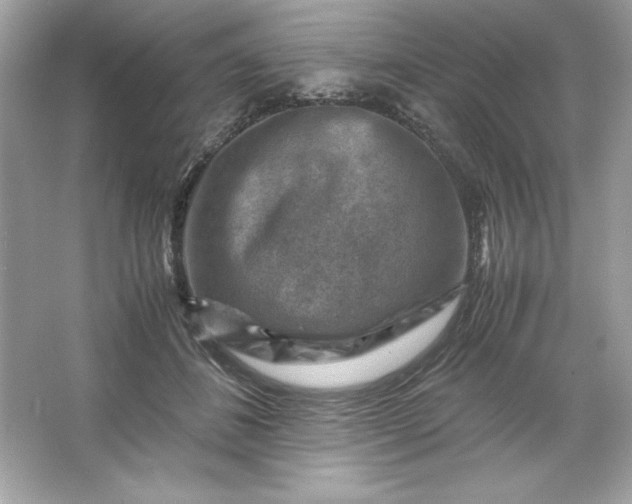 X0000066020508200603171535