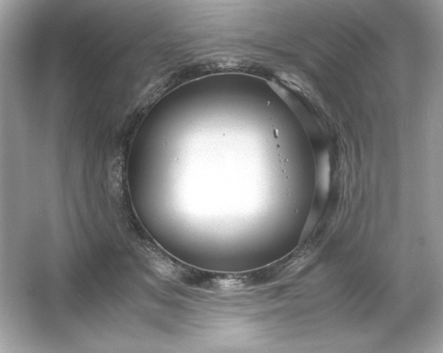 X0000066020509200603171535