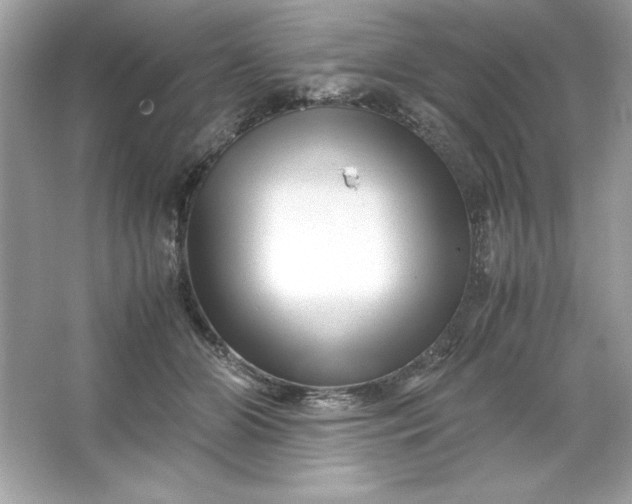 X0000066020510200603171535