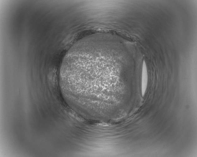 X0000066020511200603171535