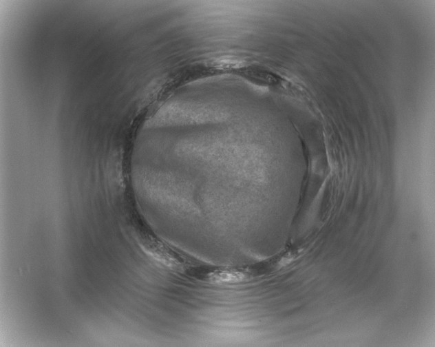 X0000066020512200603171535