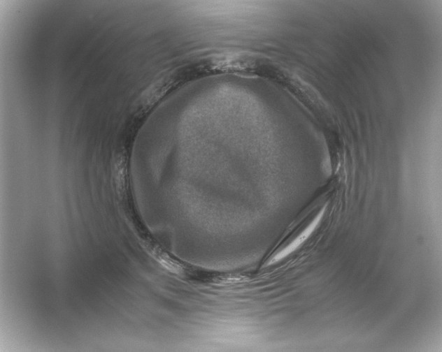 X0000066020513200603171535