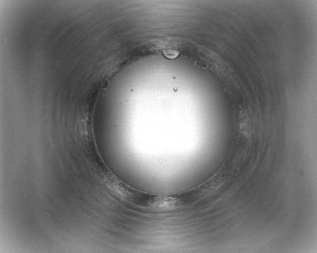 X0000066020514200603171535