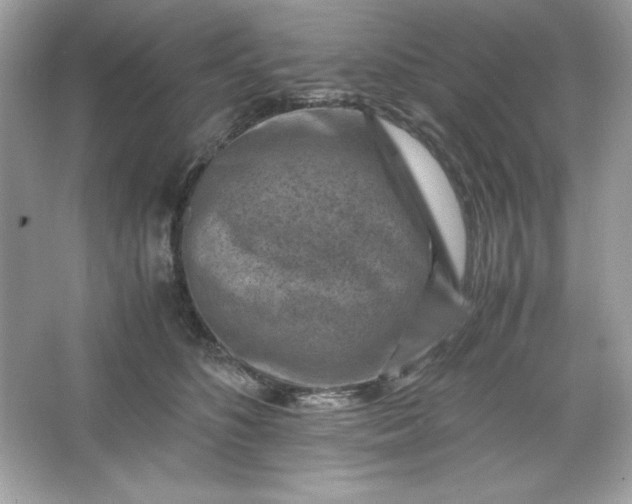 X0000066020516200603171535