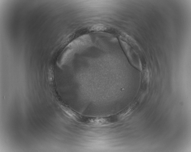 X0000066020517200603171535