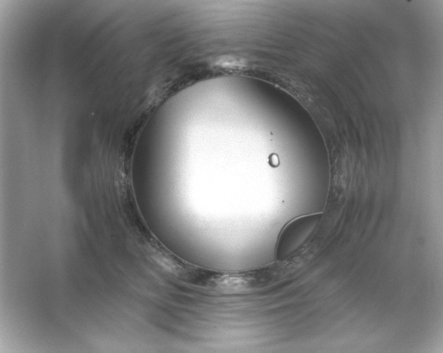 X0000066020518200603171535