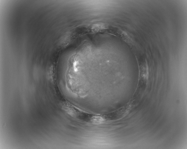 X0000066020519200603171535