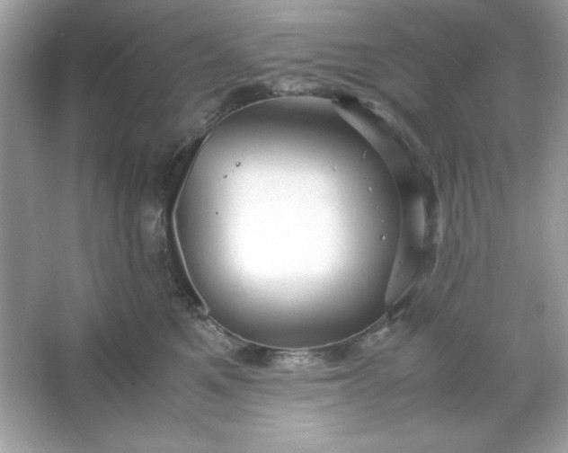 X0000066020521200603171535