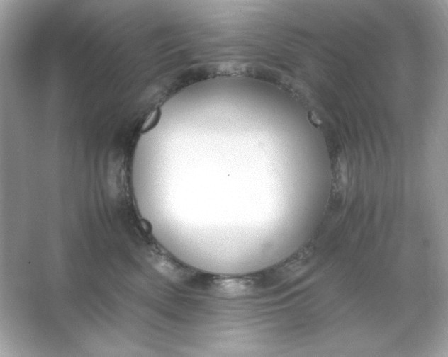 X0000066020522200603171535