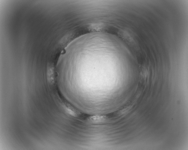 X0000066020526200603171535